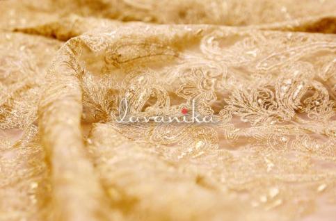 Zari work Embroidery on Chikoo Dyed Net Fabric Dno518